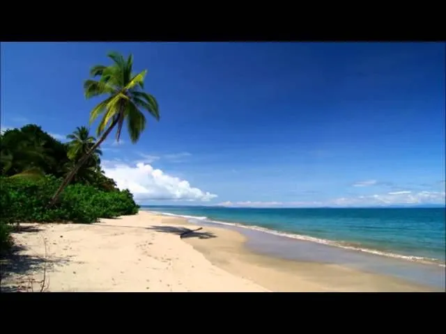  Tawheed, The Greatest Means to Success by Fareed Abdullah 